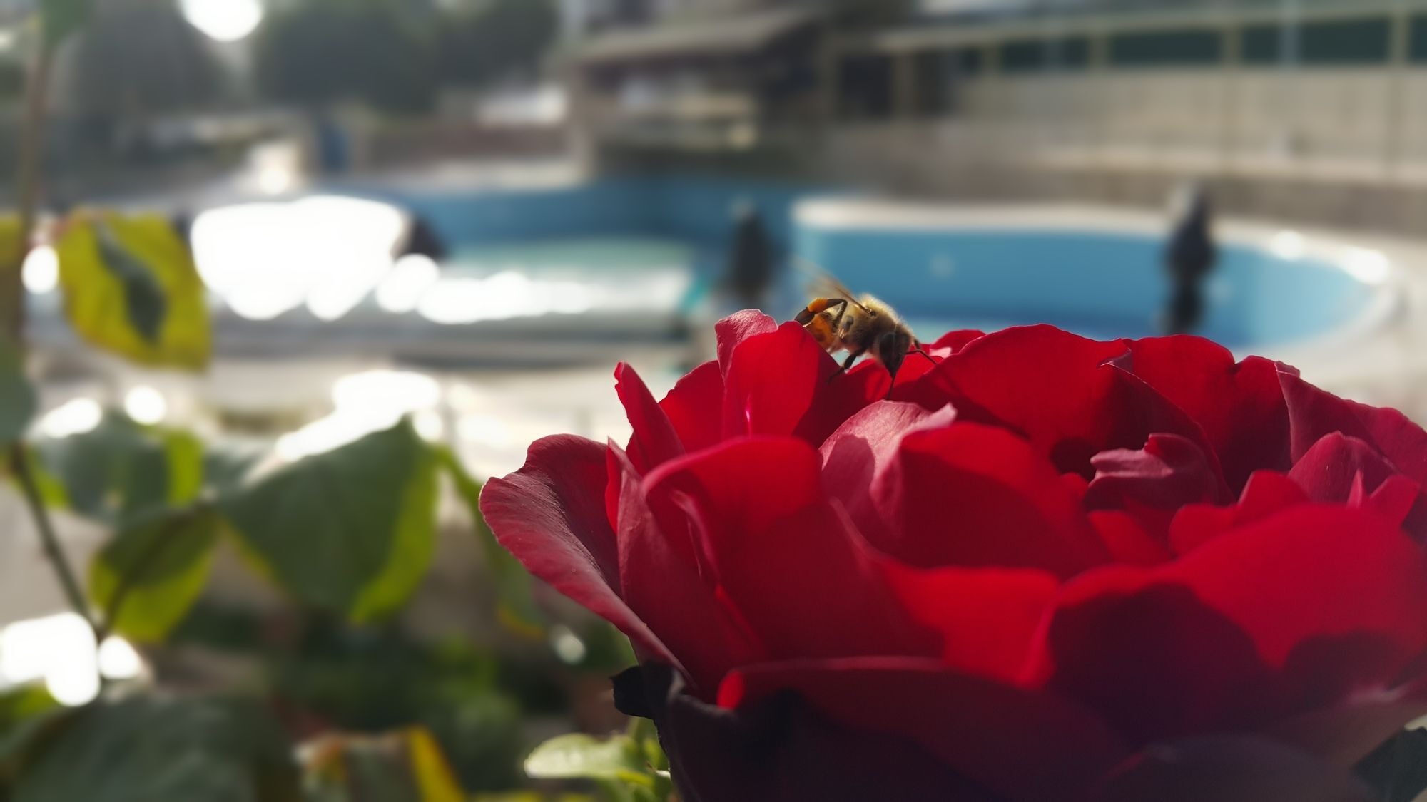 Tu Casa Gelidonya Hotel Кемер Экстерьер фото